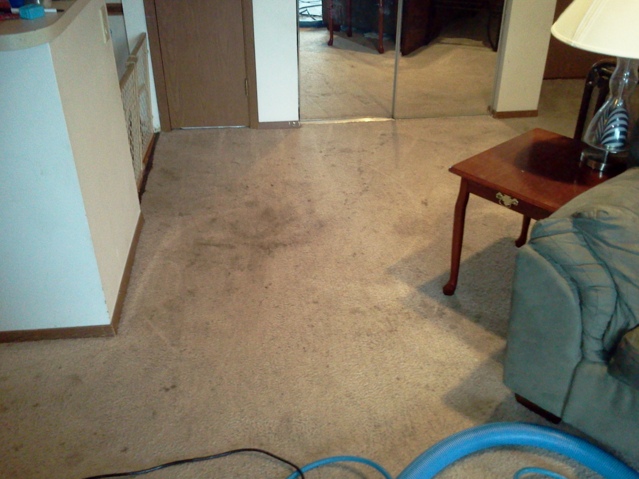 Carpet Cleaning Lennox, SD