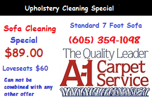 Upholstery Cleaning Coupon Sofa