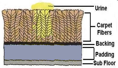 Stage I Pet Odor Control Sioux Falls, SD